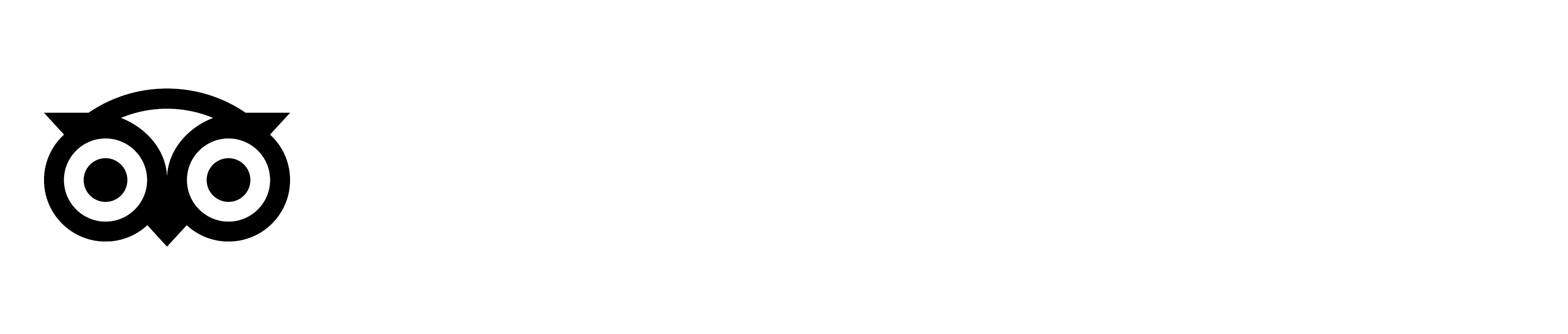 Tripadvisor_Logo